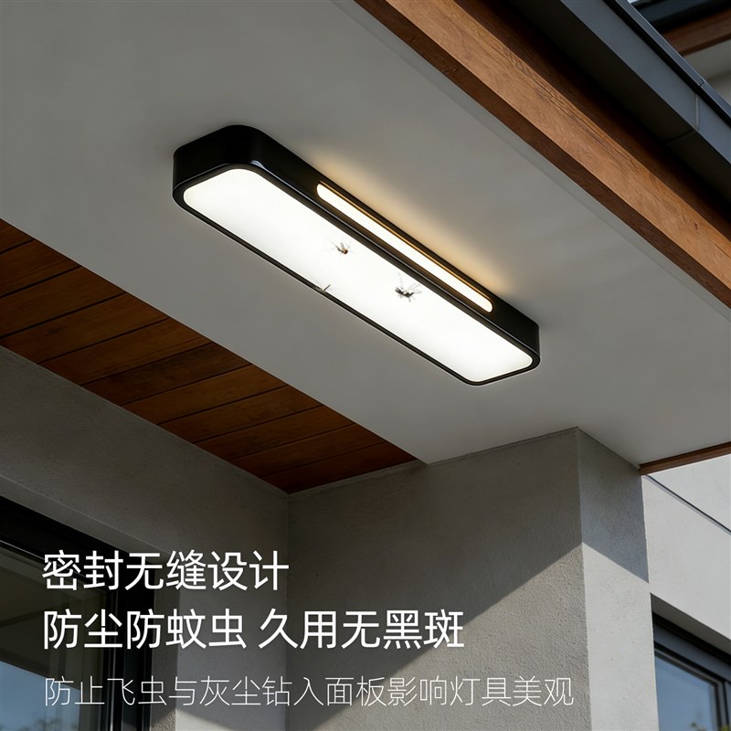 室外房檐长条灯别墅大门口自建房入户门厅阳台走廊防潮防虫吸顶灯