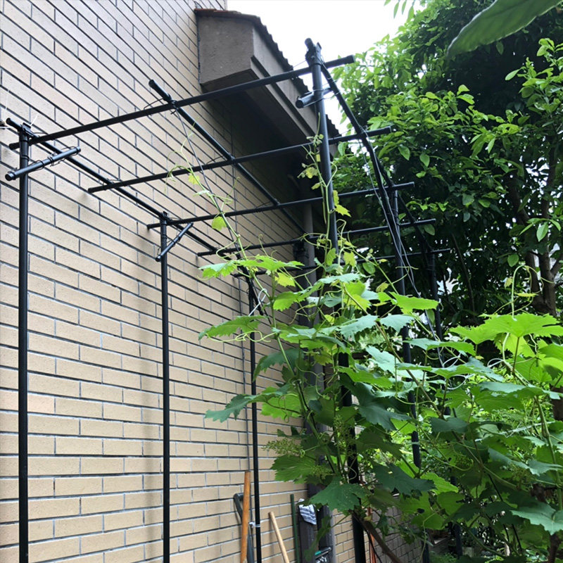 葡萄架花园爬藤架支架百香果固定庭院户外植物支架室外拱门架子