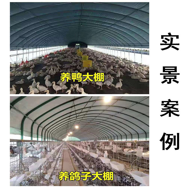 养殖大棚骨架钢管全套温室蔬菜保温养鸡场鸭鹅兔猪舍牛圈羊棚搭建