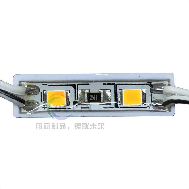 LED超级模组2835二灯防水迷你字树脂字吸塑广告发光字2607小灯12V