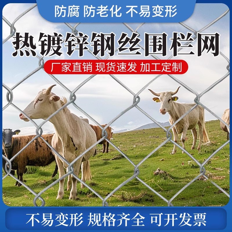 镀锌铁丝网围栏防护网勾花网钢丝网养殖羊牛猪栏网果园栅栏护栏网