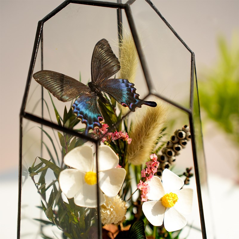 永生苔藓微景观玻璃花房成品植物标本摆件生态植物迷你缸