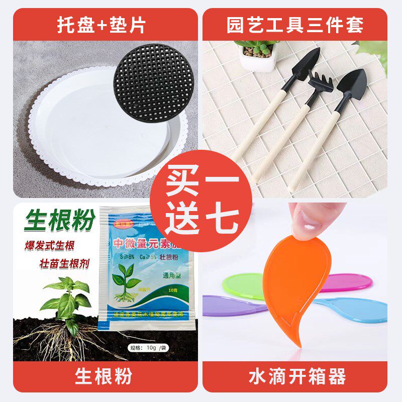 现代轻奢陶瓷花盆大号口径种树盆栽绿植落地摆件龟背竹发财树通用