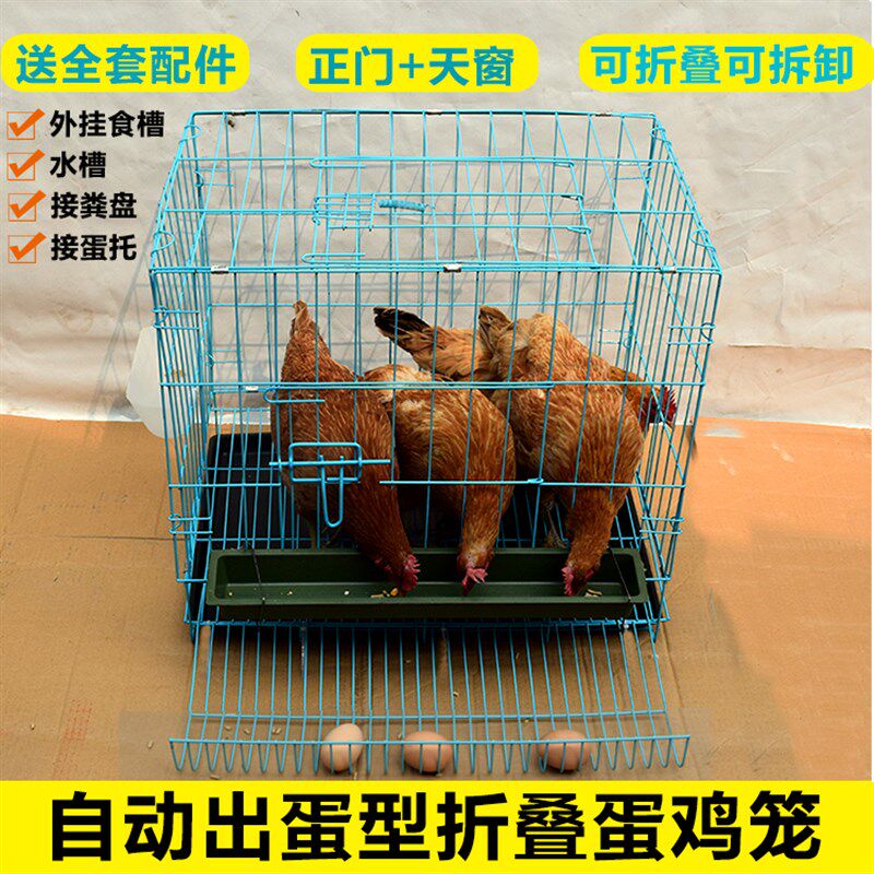 鸡笼子家用大号养殖场家禽蛋鸡笼自动滚蛋鸡笼田鸡笼运输鸡舍鸡笼