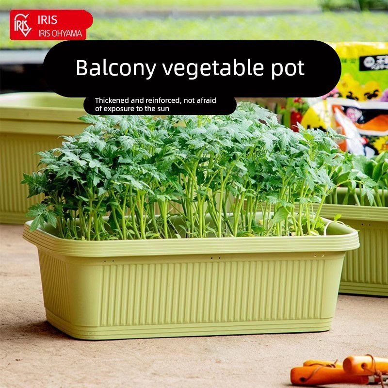 爱丽思塑料花盆阳台长方形家用塑料专用箱种菜盆蔬菜爱丽丝种植箱