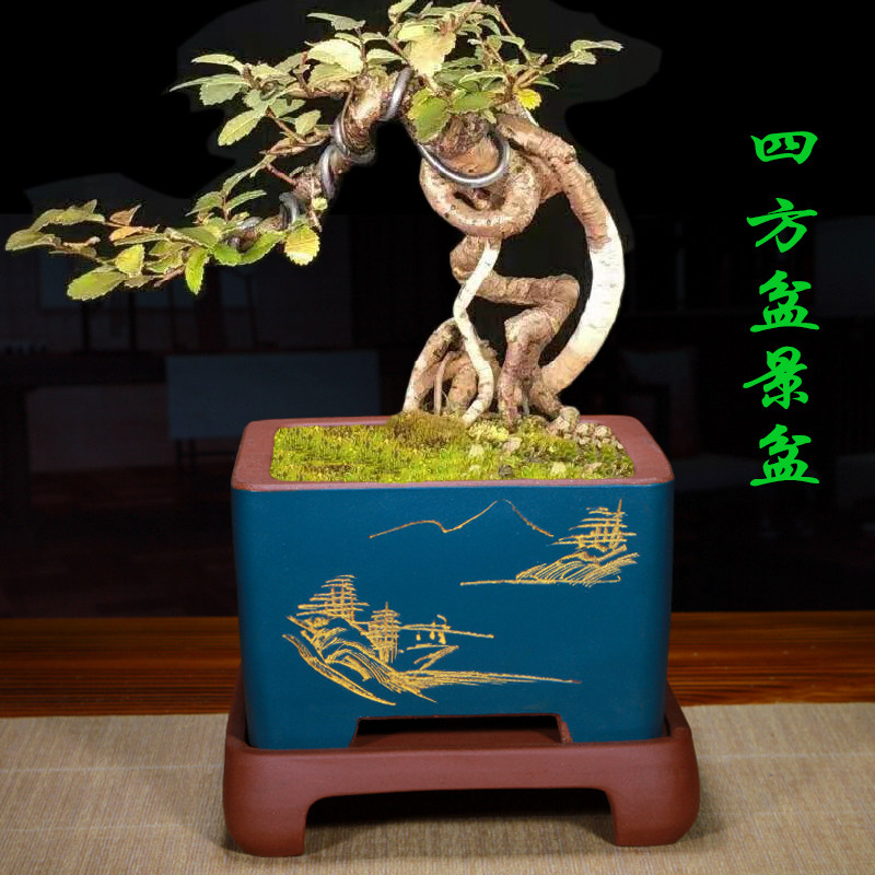 紫砂花盆君子兰兰花盆室内阳台透气发财树悬崖盆梅花兰草花卉绿植