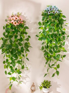 壁挂式绿植装饰花墙壁仿真绿萝挂墙植物墙面假花客厅藤条花篮挂饰