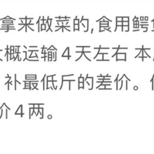 顺丰包邮北美鳄龟活物食用养殖红烧观赏鳄龟大鳄食用鳄鱼龟