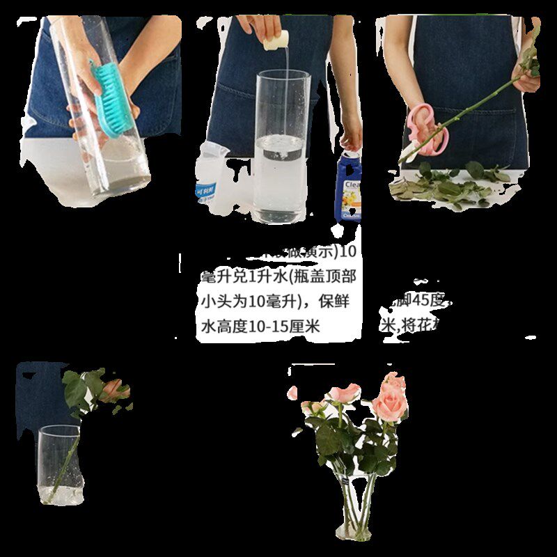 荷兰进口可利鲜鲜花保鲜剂玫瑰百合鲜切花通用瓶装家用hvb营养液