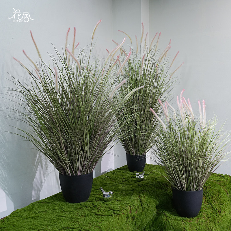 仿真绿植狗尾巴草假芦苇草落地盆栽装饰盆景室内客厅植物造景摆件