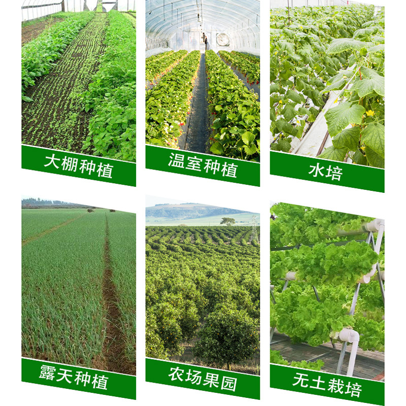 海藻精鱼蛋白水溶肥平衡肥20-20-20水溶肥冲施肥桶装氨基酸水溶肥