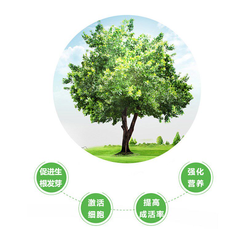 3桶送电钻】国光施它活生根剂 植物营养液吊针袋通用大树成长液