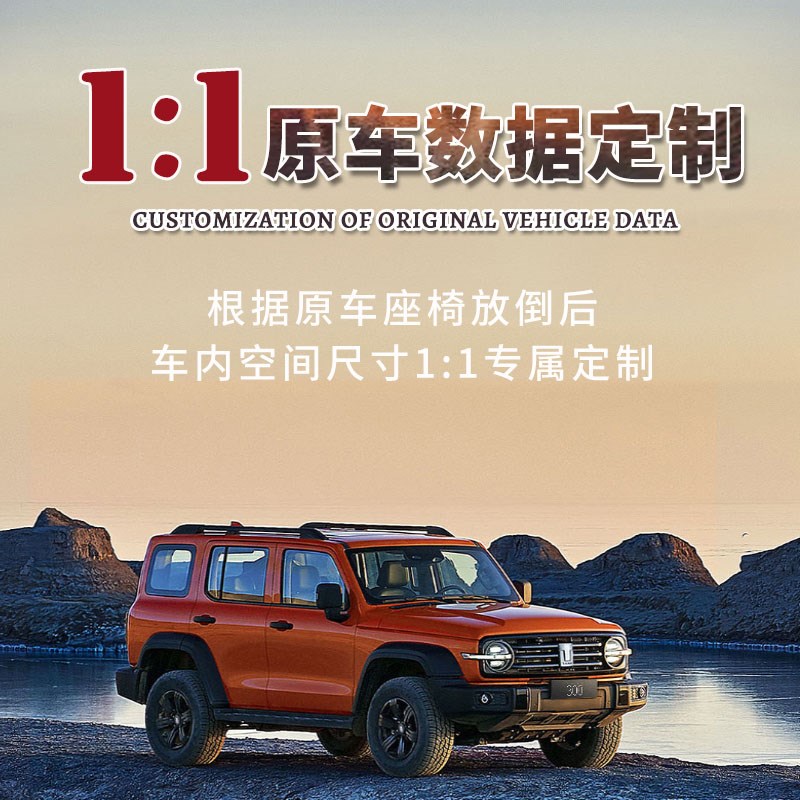 坦克300拉丝床垫400 500hi4t专用车载充气床垫后备箱露营后排睡垫图片
