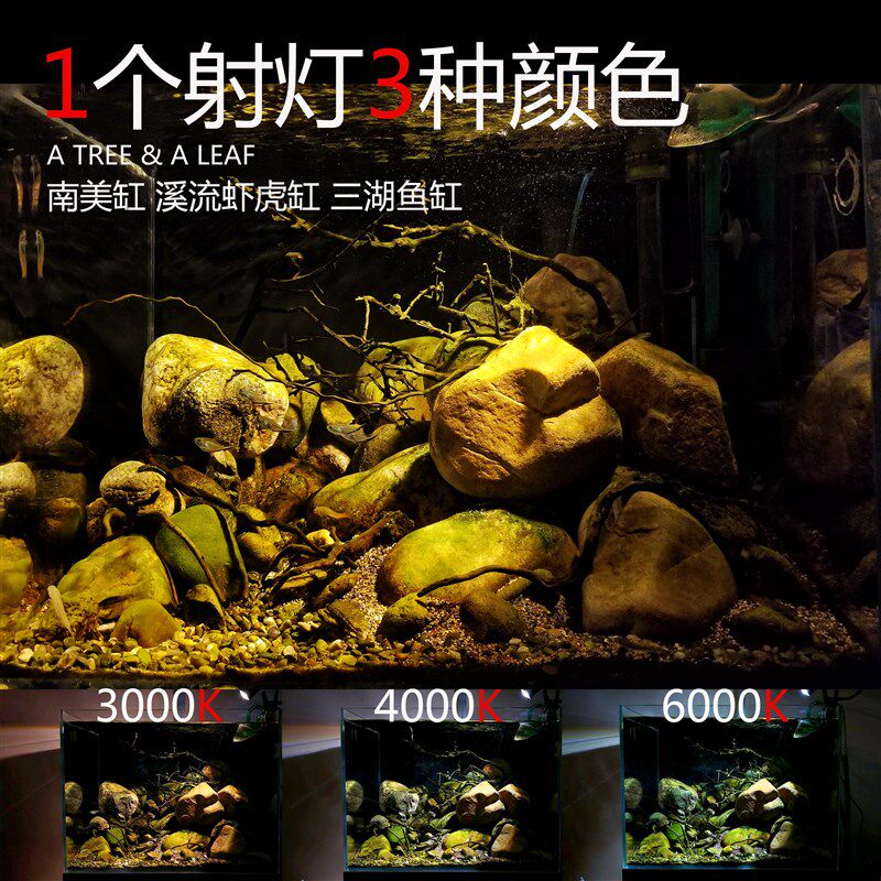 南美缸led射灯新款调色版本包邮水族射灯原生景射灯 鱼缸射灯夹灯