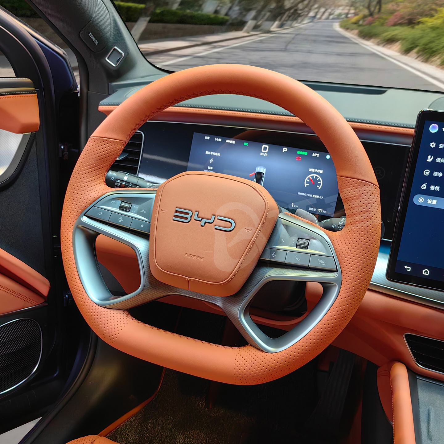 比亚迪海狮07EV沙丁瑚橙色把套