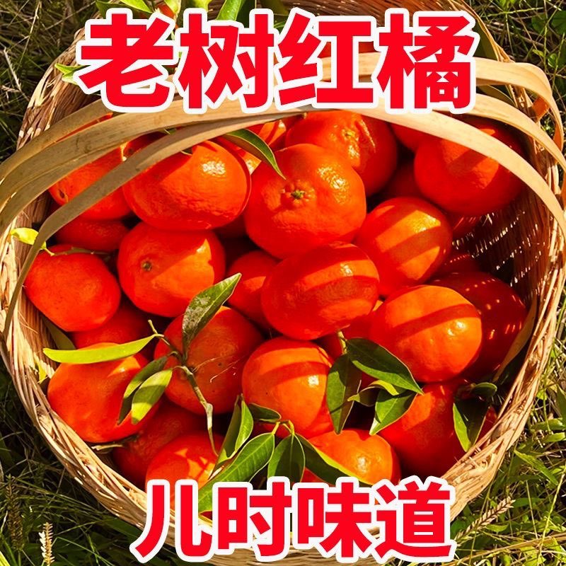 四川红橘万州古红桔重庆桔子大红袍橘子陈皮当季新鲜水果川桔S