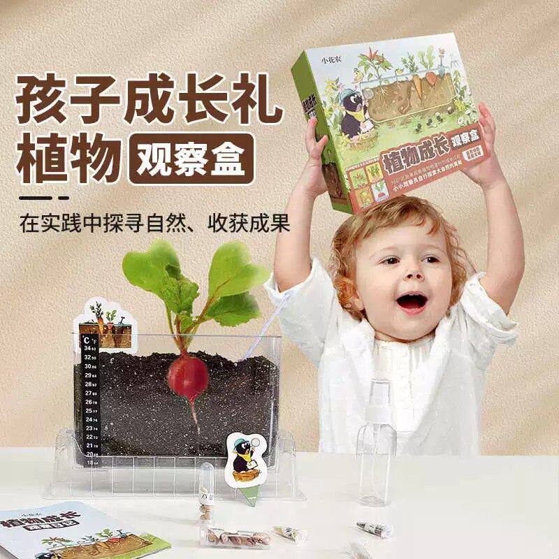 儿童种植小盆栽蔬果生长发芽植物胡萝卜南瓜玉米迷你小农场观察窗