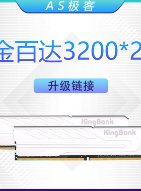 整机内存升级k加购链接 单拍不发货 AS极客