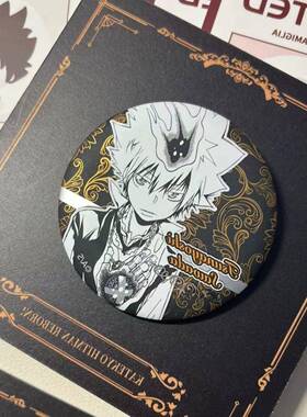 自制家庭教师REBORN日版浮雕吧唧沢田纲吉动漫徽章谷子包挂件超帅