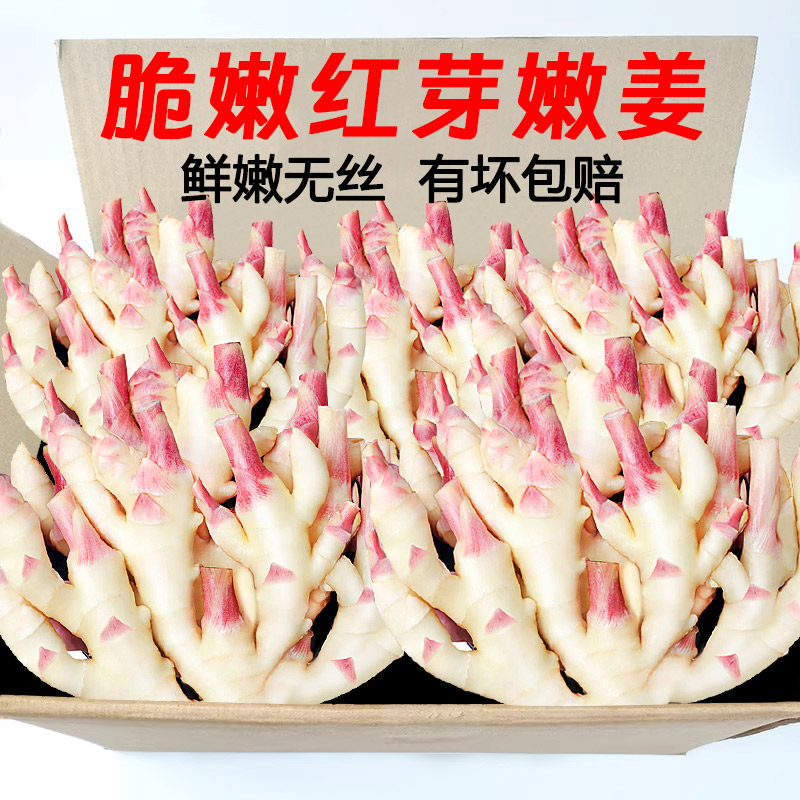 嫩姜新鲜大仔姜子姜山东红芽生姜四川指头姜非云南小黄姜老醋鲜姜