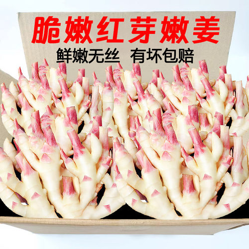 红芽嫩姜2斤，脆嫩多汁，好吃！