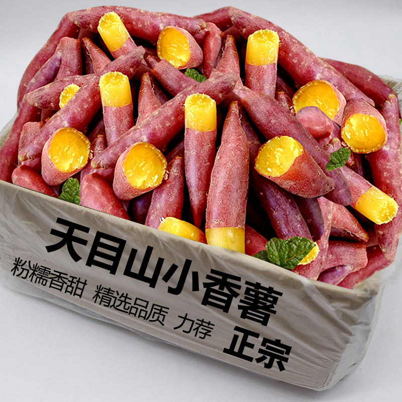 天目山小香薯18-25枚,仅限1单!