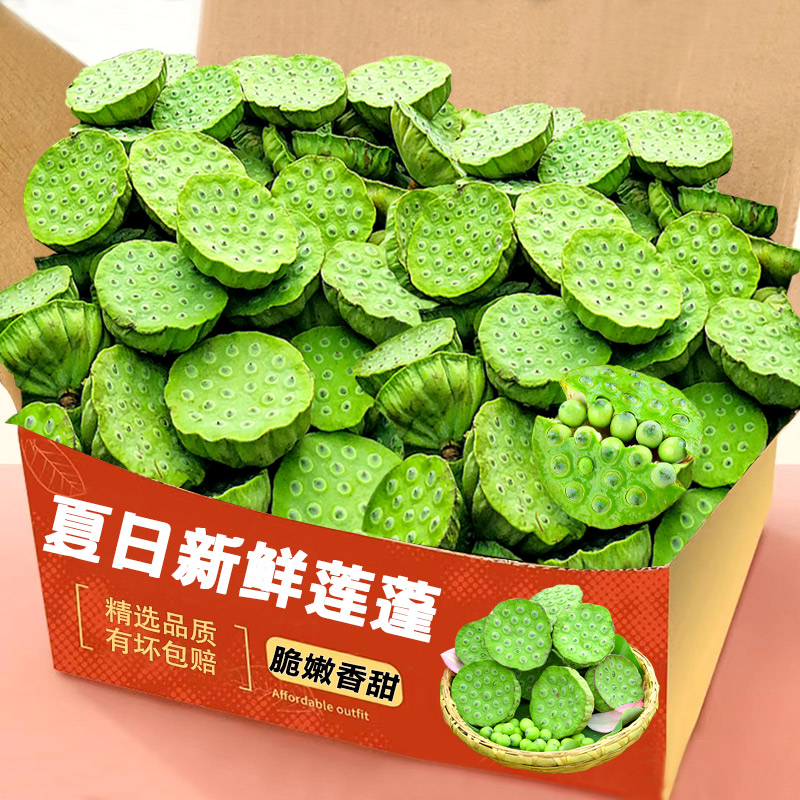 2026莲蓬新鲜生吃现摘当季水果莲子米整箱甜脆包邮蔬菜太空带壳