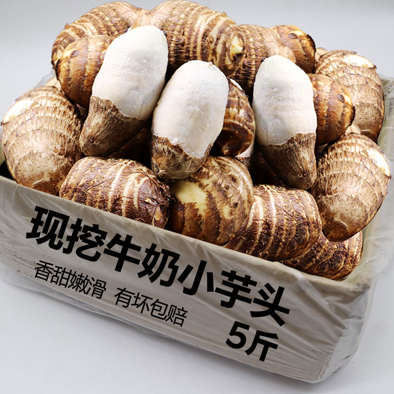 当季牛奶芋头小香新鲜毛芋头现挖农家自种奶油芋艿软糯蔬菜