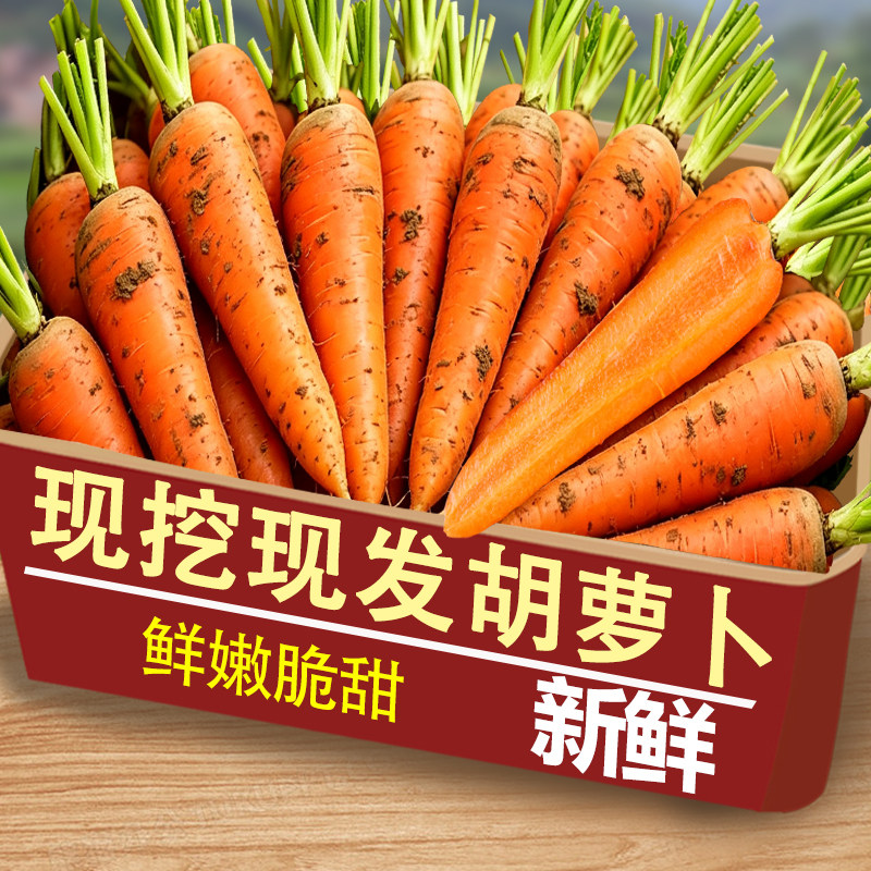 沙地胡萝卜5斤，仅限一单，特价
