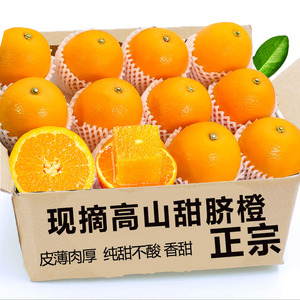 高山甜脐橙9-12颗，甜蜜多汁！