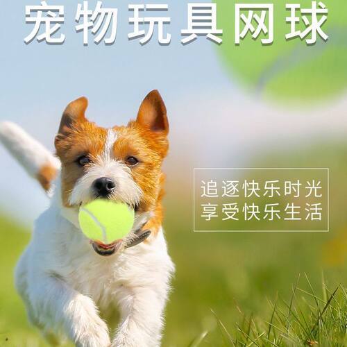 狗狗自嗨耐咬磨牙橡胶球