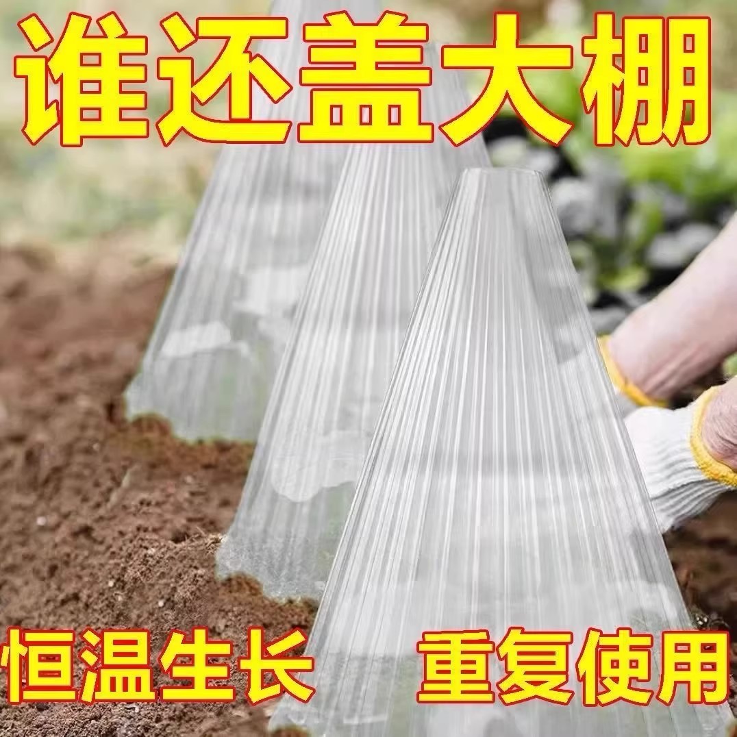 加厚育苗保护罩防霜冻防虫大号