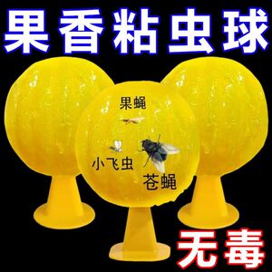 果蝇小飞虫诱捕粘蝇球