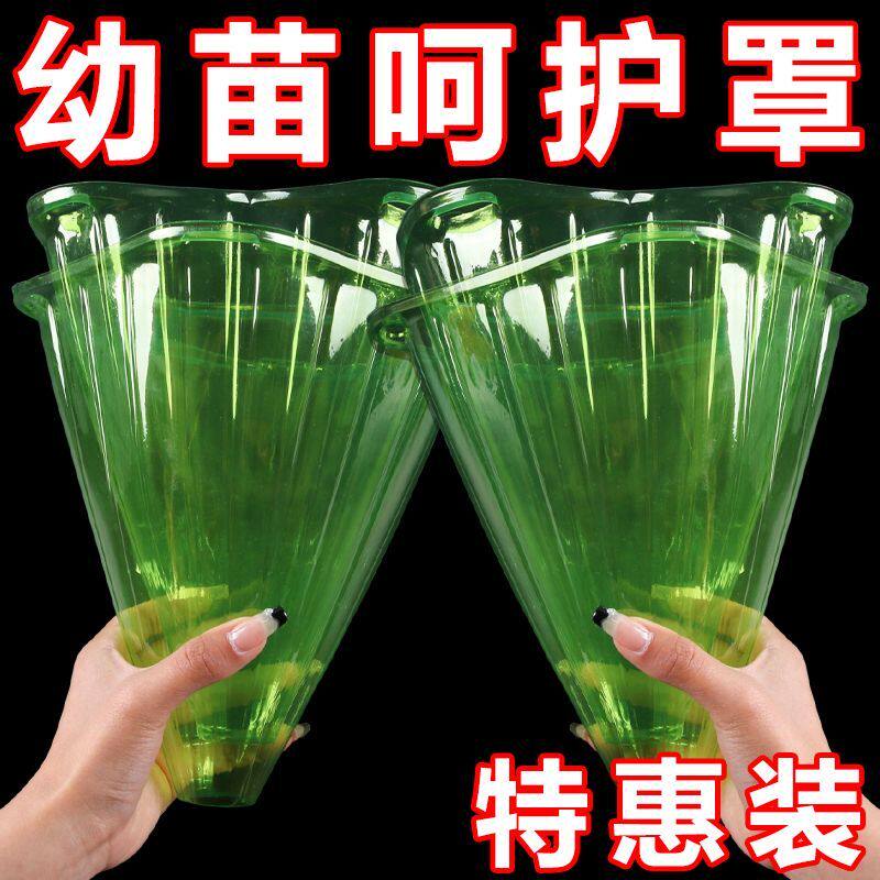加厚育苗保护罩防霜冻防虫大号