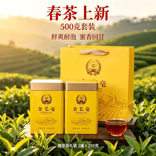 正品高山老树英德红茶英红九号浓香明前春茶金毛豪礼盒装新茶500g