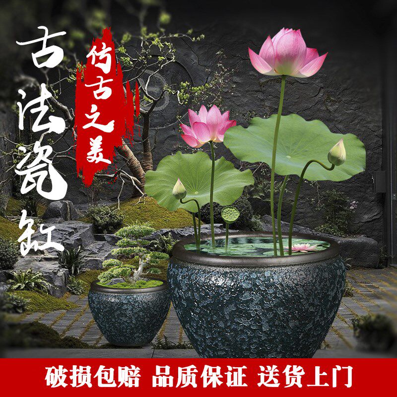 庭院大缸养睡莲碗莲荷花盆景德镇陶瓷金鱼缸水缸特大号仿古铜