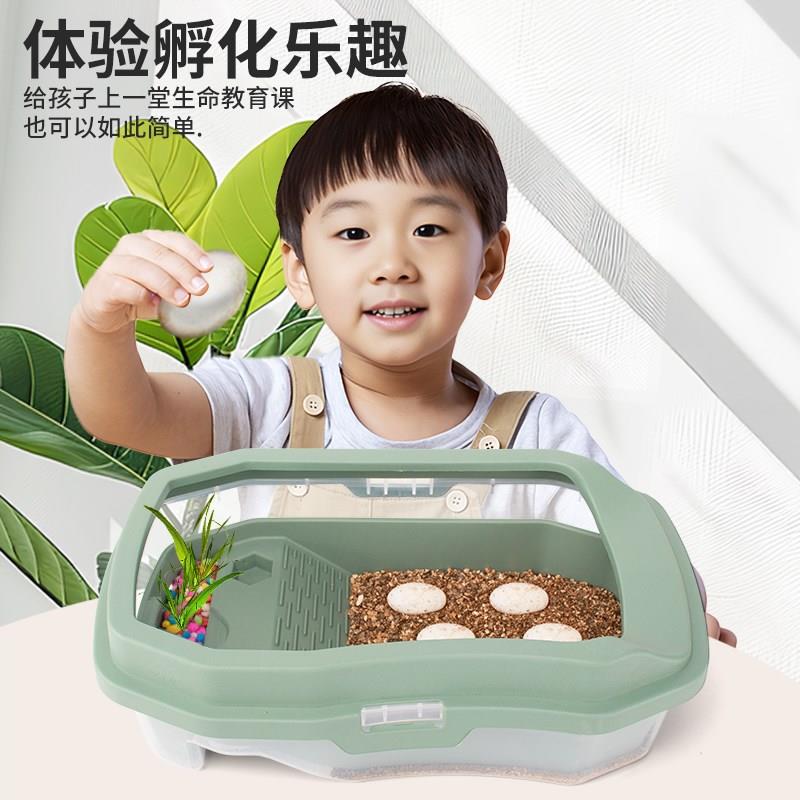乌龟活物草龟乌龟蛋可孵化中华草龟小深水龟家养苗认主龟宠物墨龟