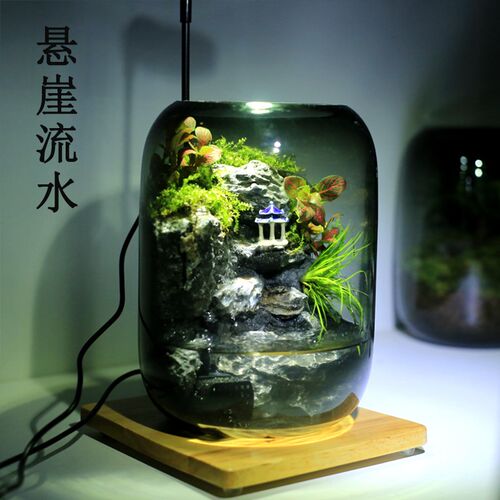 苔藓造景桌面微景观生态瓶自循环水室内植物盆栽养鱼缸生态缸摆件