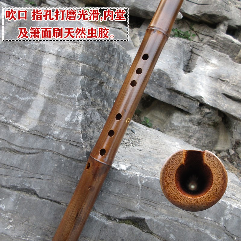 竹萧乐器大头南箫长萧六孔洞箫乐器六孔箫玉竹箫乐器萧乐器初学者