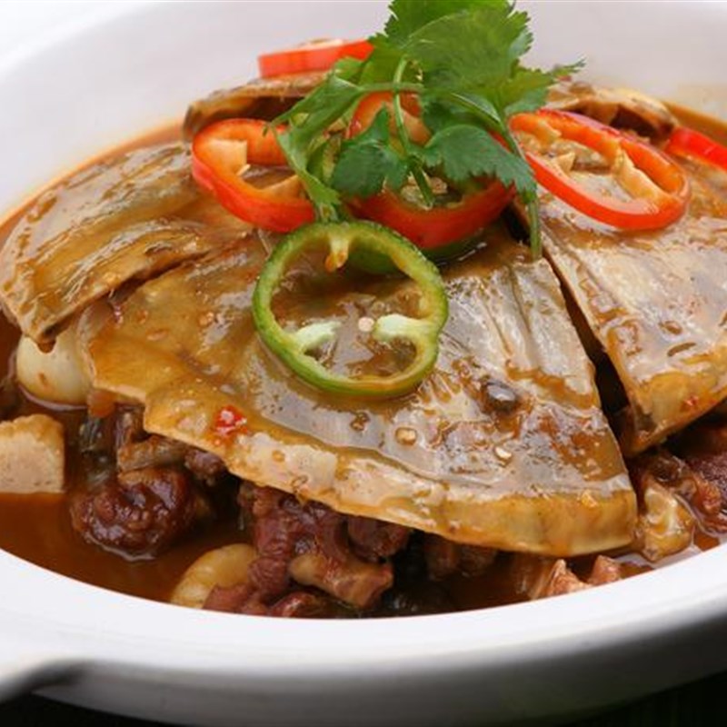 北美杂佛小鳄龟肉龟宠物食用乌龟活体水龟鳄龟活体大鳄龟食用
