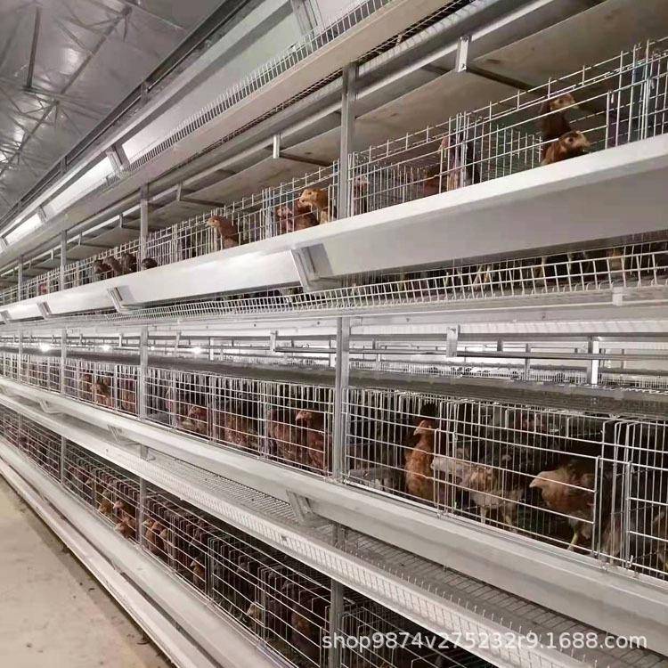 高密度养鸡自动拾蛋养殖笼养鸡场用自动化笼具现代化养鸡设备