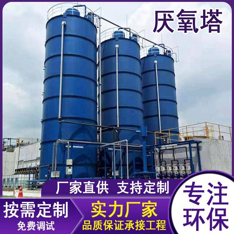 大型污水处理厂有机废水处理厌氧生物反应器高盐高浓度废水处理IC