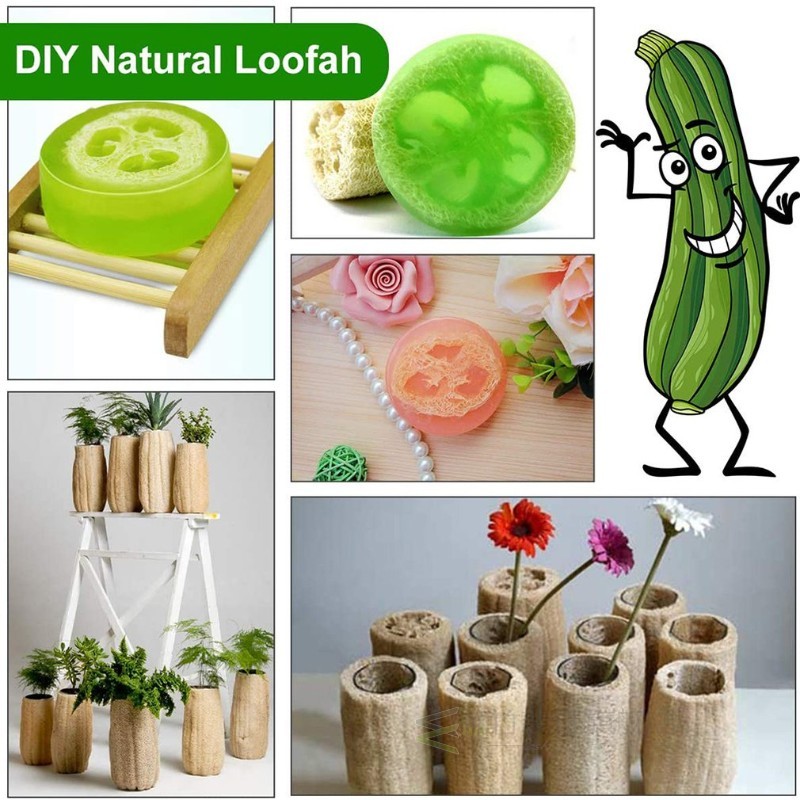 极速Natural Loofa Luffa Bath ShoweEr Brush Wash Bowly Body S