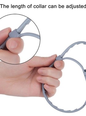 极速New 8 Month Flea & Tivck Prevention Collar perro for Cat