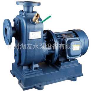 自吸泵100BZ 100BZ 直联式 清水泵