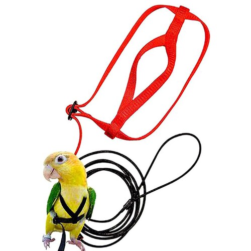 极速Parrot Bird Harness Leash AdjusGtable Anti-Bite Training