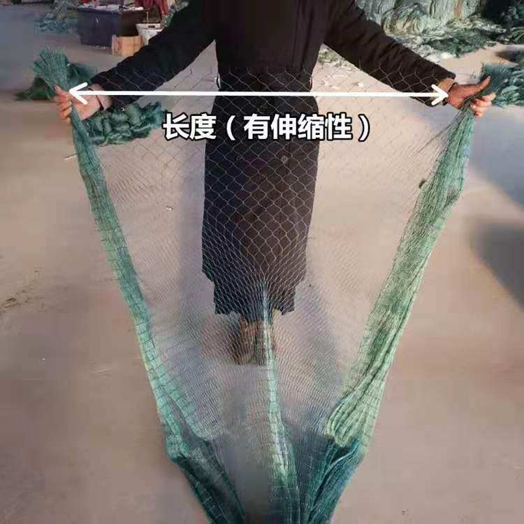 极速2厘米网眼聚乙烯防鸟v网果园防鸟果树防鸟养鸡网养殖网鸡鸭鹅