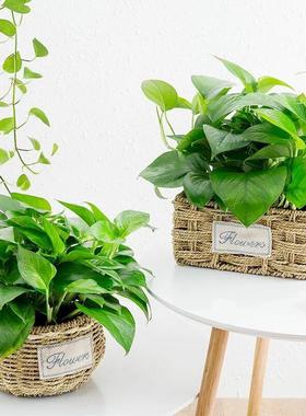 极速草藤编田园创意多肉绿萝编织花篮绿植花店插花新X年蝴蝶兰专