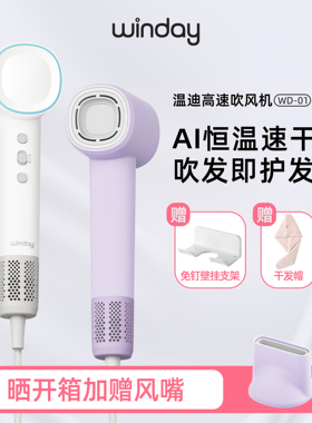 winday温迪高速吹风机家用负离子护发速干电吹风筒大风力生日礼物