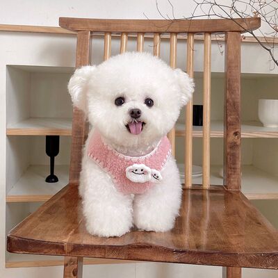 可爱狗狗衣服泰迪博美小型犬云朵马甲背心秋冬季保暖加绒服装
